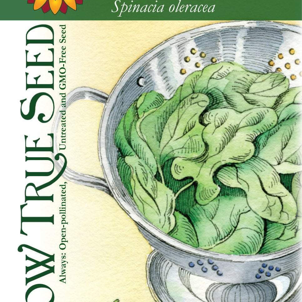 Sow True Seed offers many varieties of spinach that are USDA organic, open pollinated, non GMO, and untreated.  