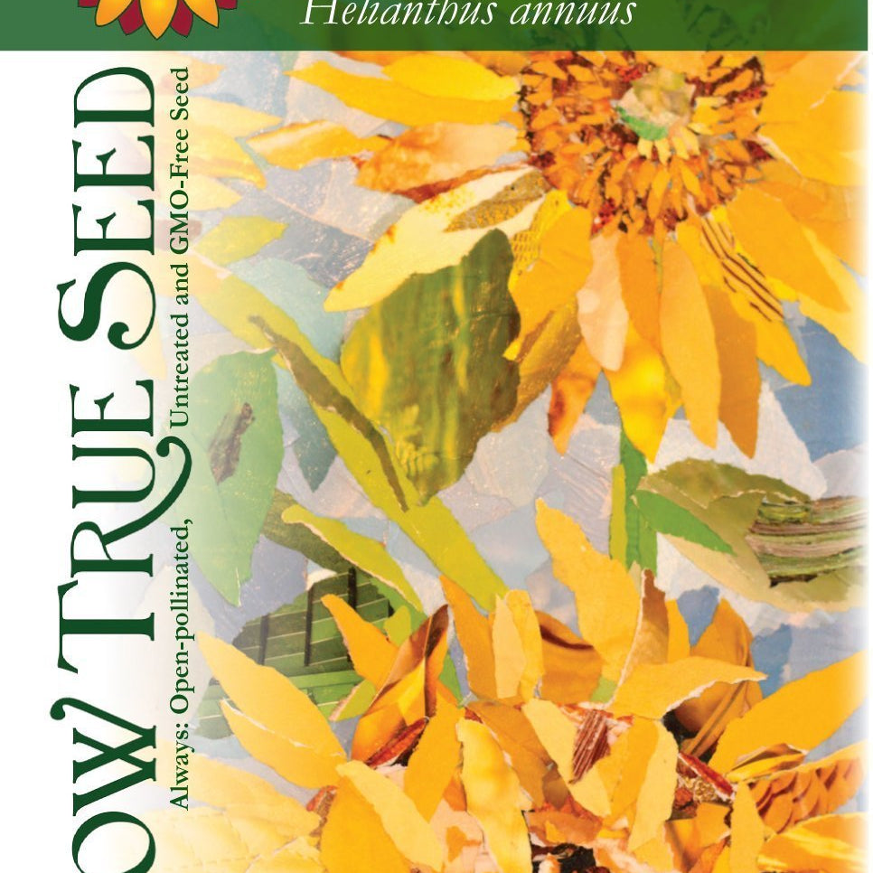 Artist designed packet of Mammoth Grey Stripe Sunflower from Sow True Seed Asheville NC. 