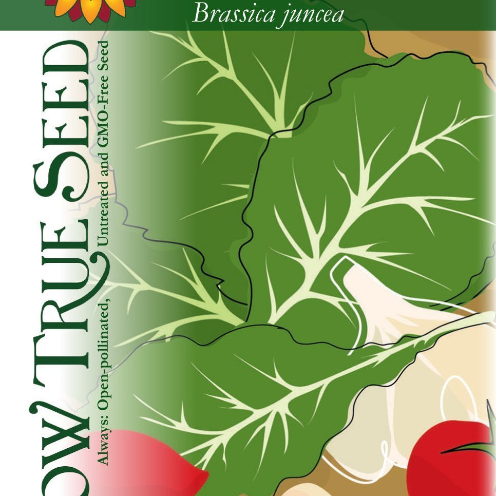 Artist designed packets of Florida Broadleaf Mustard Greens from Sow True Seed Asheville NC. 
