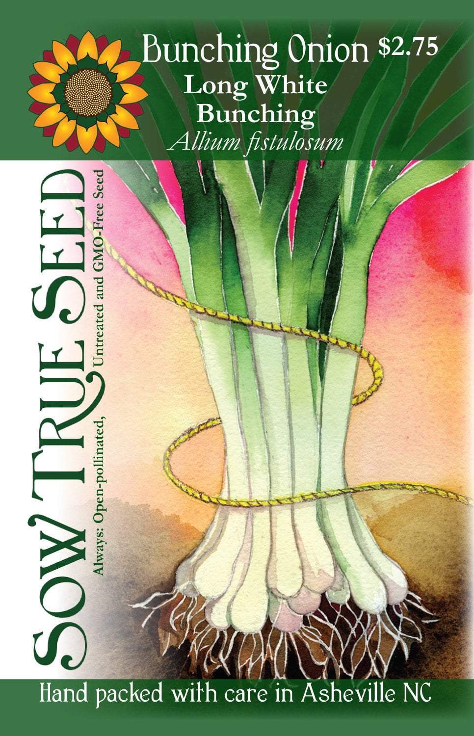 Artist designed packets of Long White Bunching Onions  from Sow True Seed Asheville NC. 