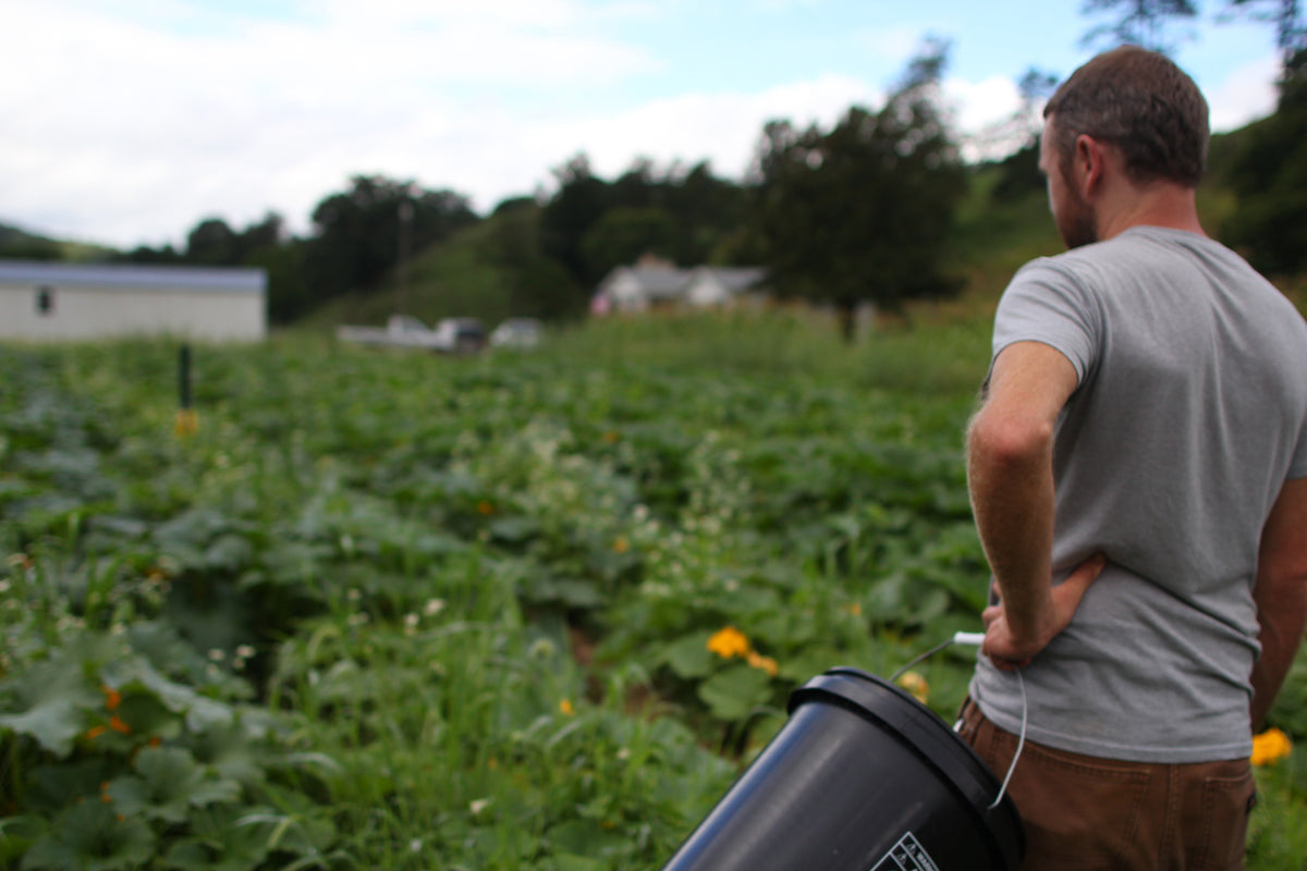 Michael Rayburn is one of our seed growers in Western North Carolina