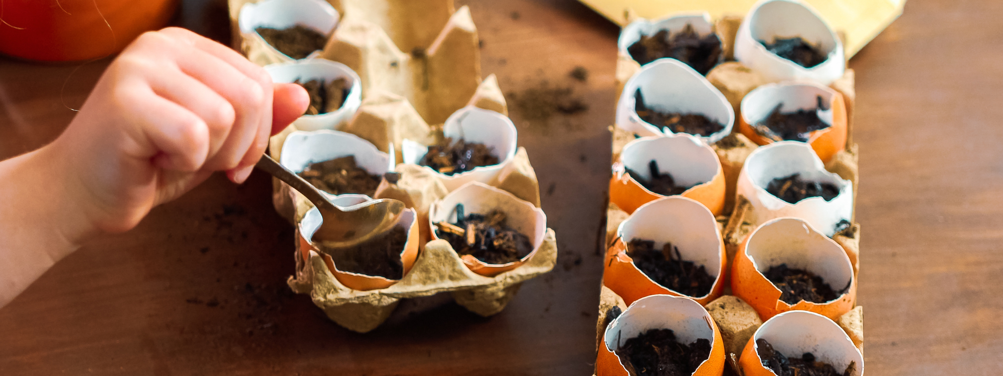 The Gardener's Complete Guide to Starting Seeds Indoors