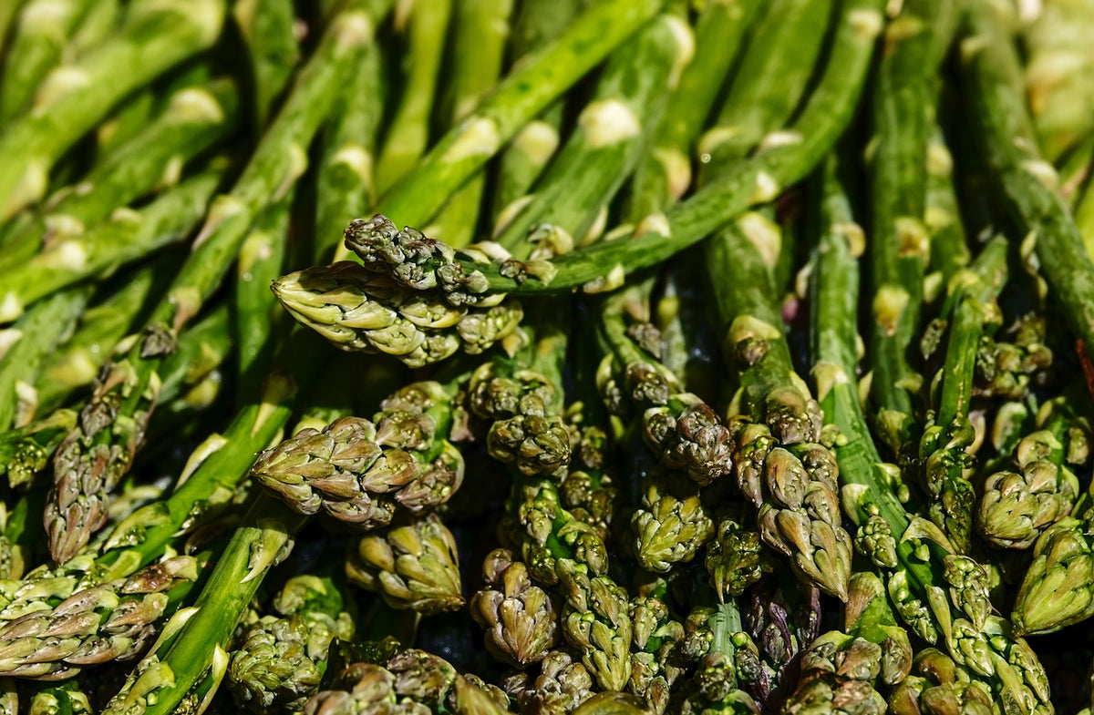 A Complete Guide to Growing Asparagus (From Crown and From Seed)