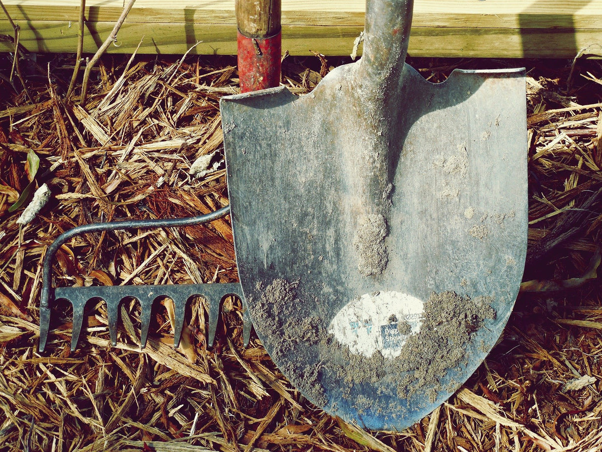 January Garden Chores for All USDA Grow Zones