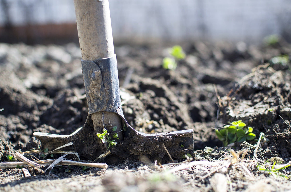 February Garden Chores for All USDA Grow Zones