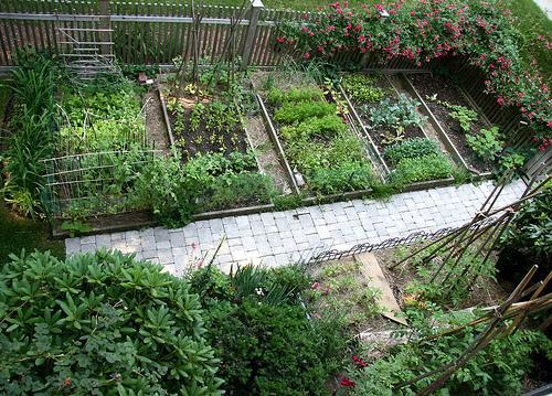 Winter reading for gardeners from Sow True Seed Asheville NC. 