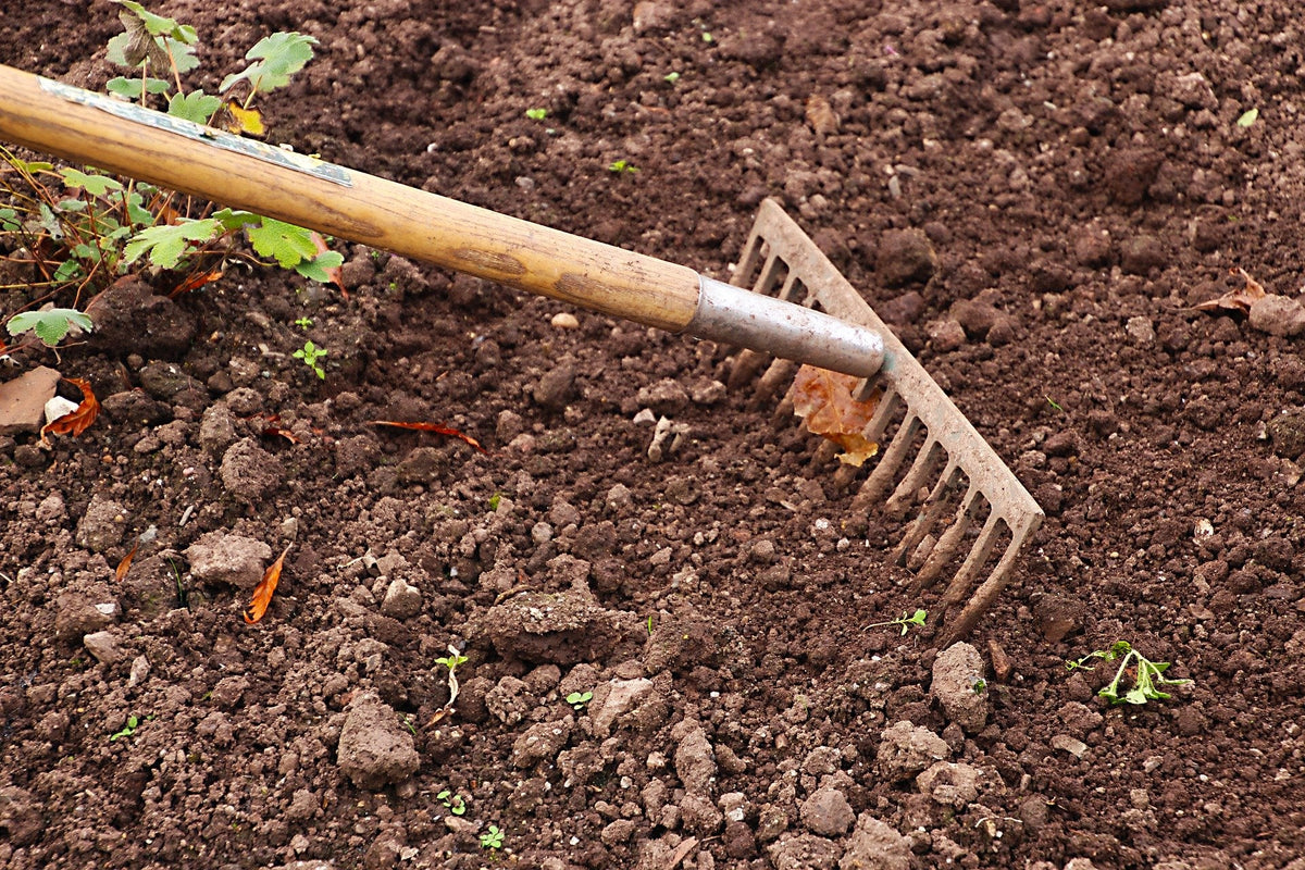Zone 5 - Monthly Garden Calendar: Chores and Planting Guide