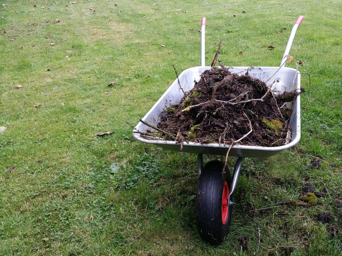 December Garden Chores for All USDA Grow Zones