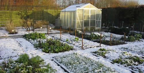 January: A Time of Rest in the Garden?