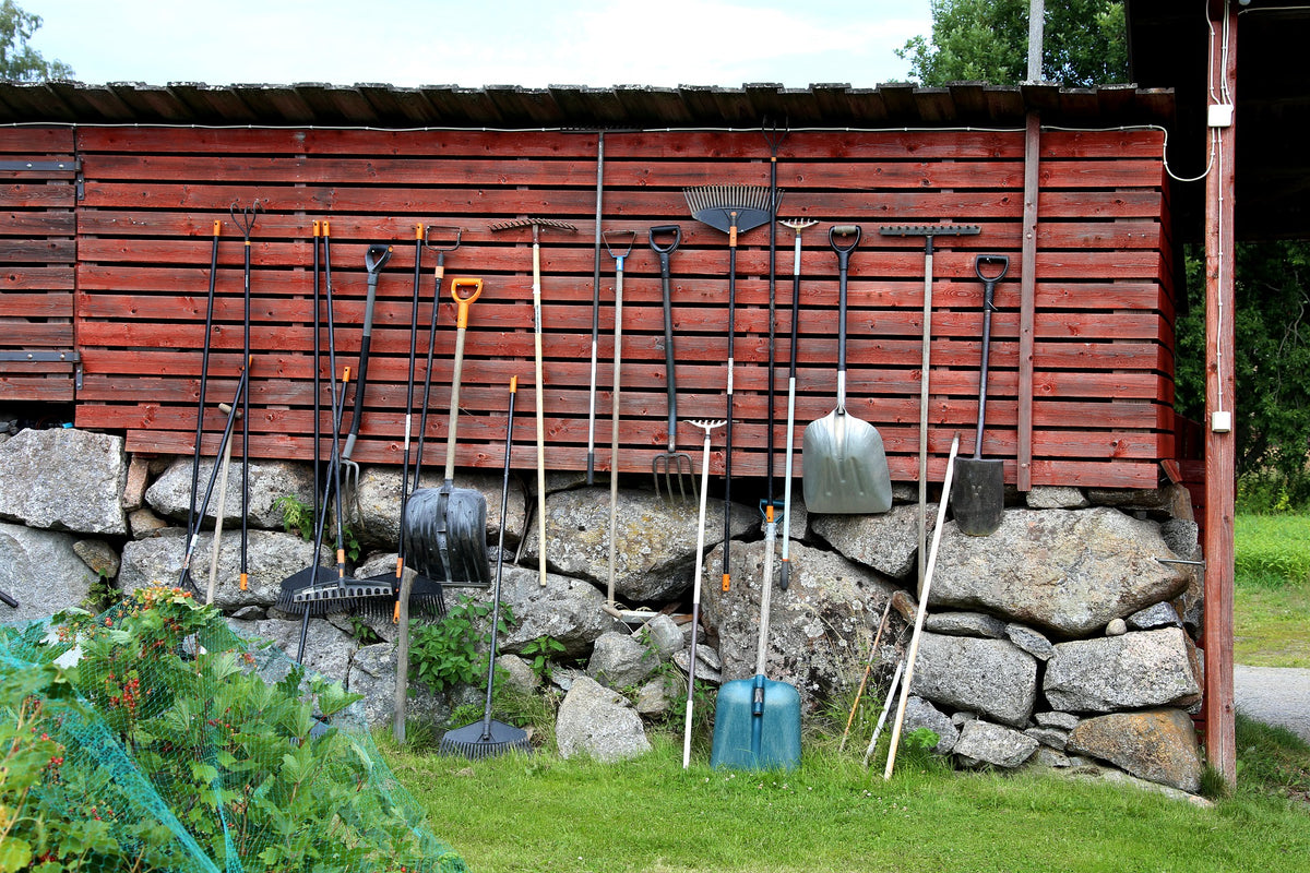 November Garden Chores for All USDA Grow Zones