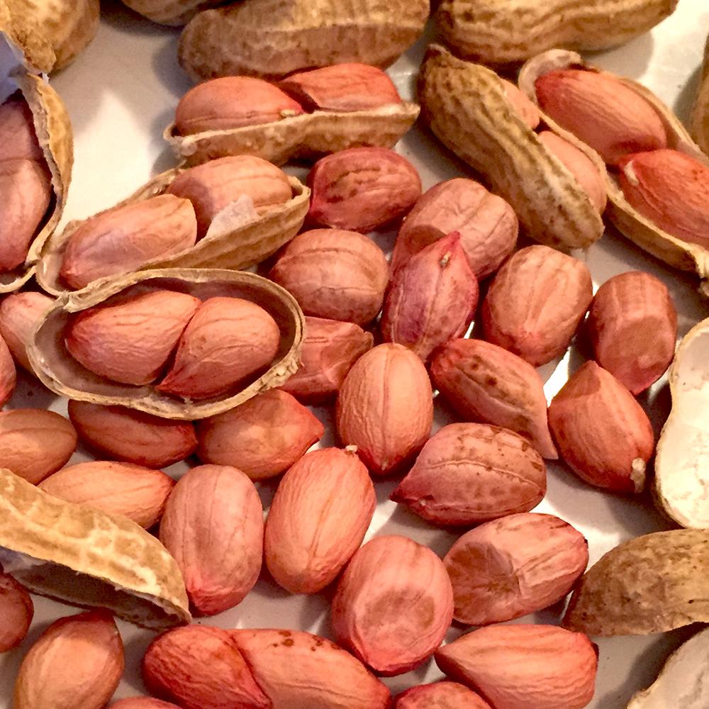 Peanut Seeds