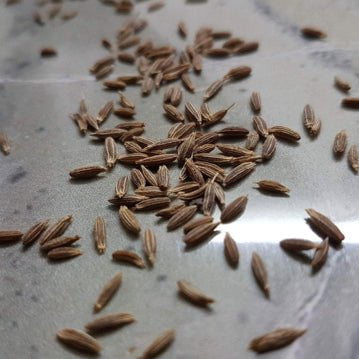 Cumin Seeds