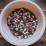 Lima Bean Seeds - Colored Willowleaf Butterbean, ORGANIC - Sow True Seed