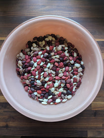 Lima Bean Seeds - Colored Willowleaf Butterbean, ORGANIC - Sow True Seed