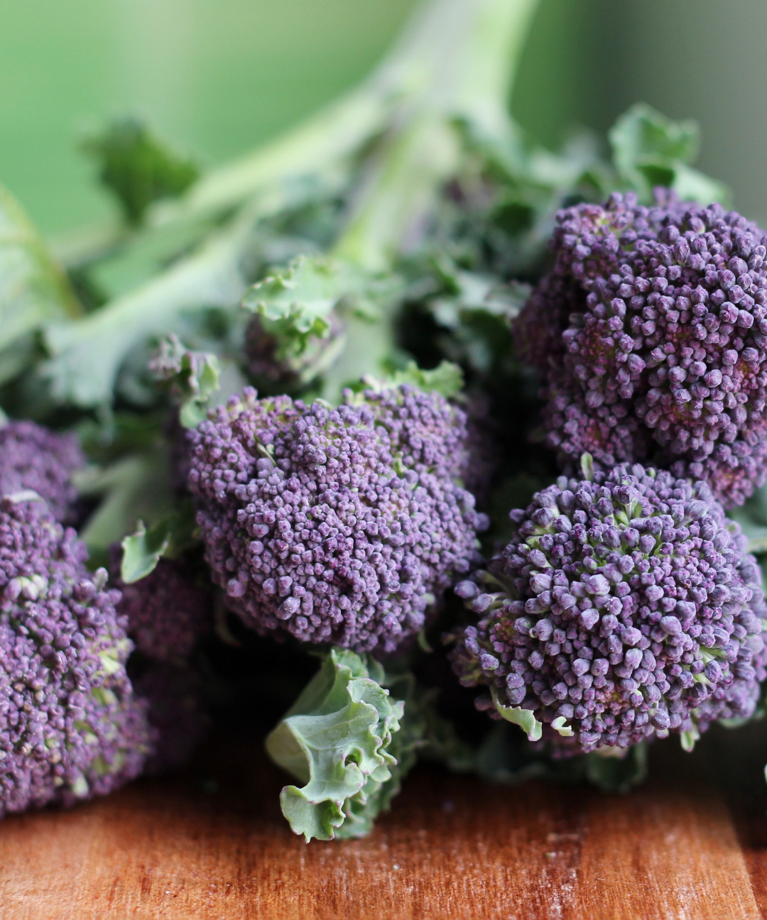 Broccoli Seeds - Early Purple Sprouting - Sow True Seed