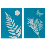 Solar Print Kit - Outdoor Discovery - Sow True Seed