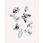Solar Print Kit - Outdoor Discovery - Sow True Seed