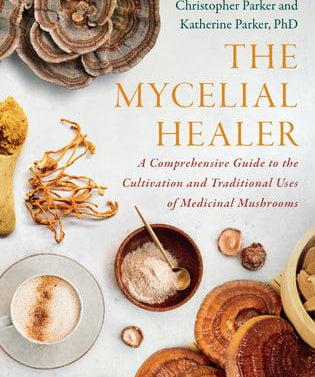 The Mycelial Healer - Sow True Seed