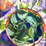 Arugula Seeds - Astro - Sow True Seed