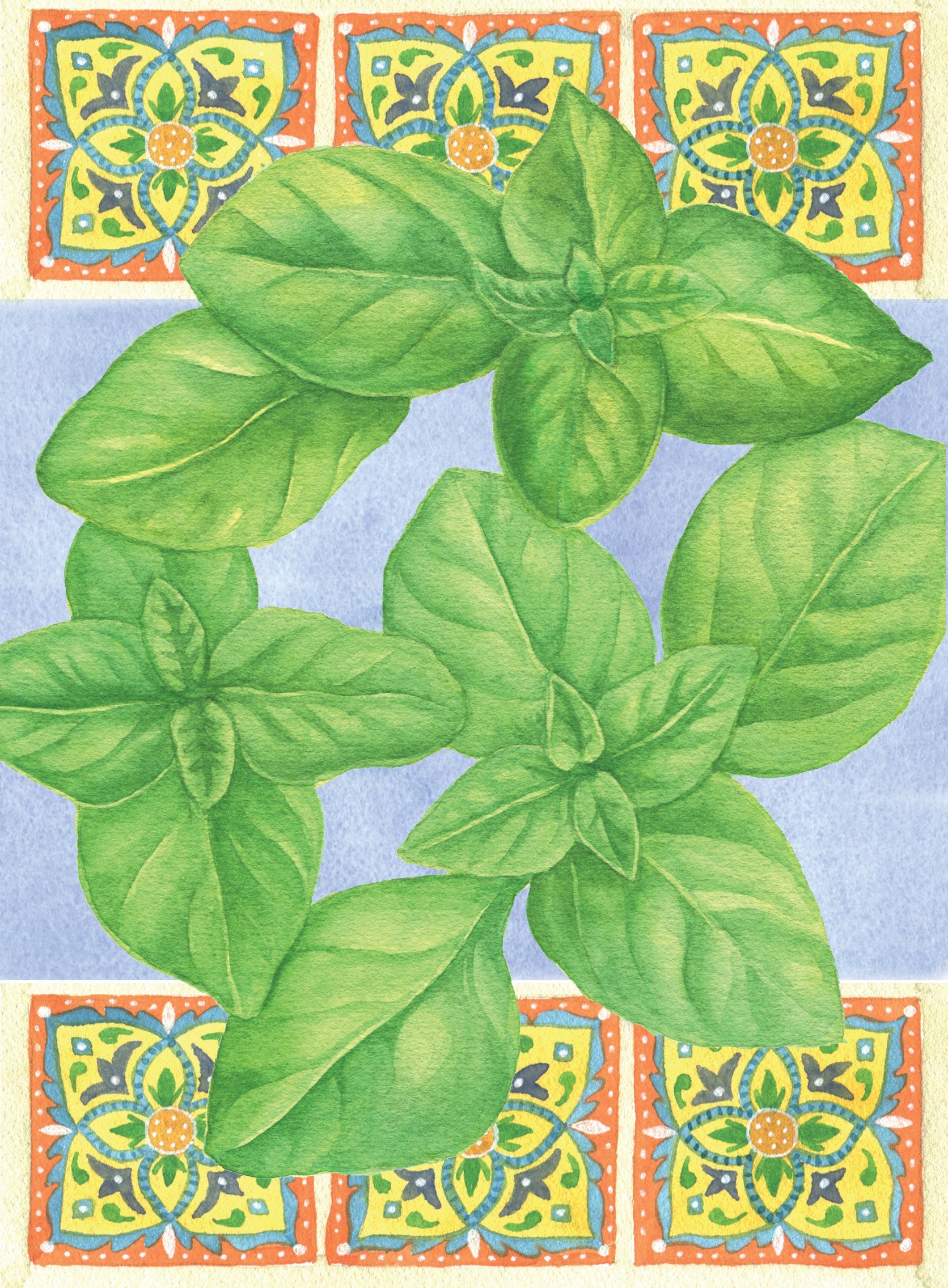 Basil Seeds - Genovese - Sow True Seed