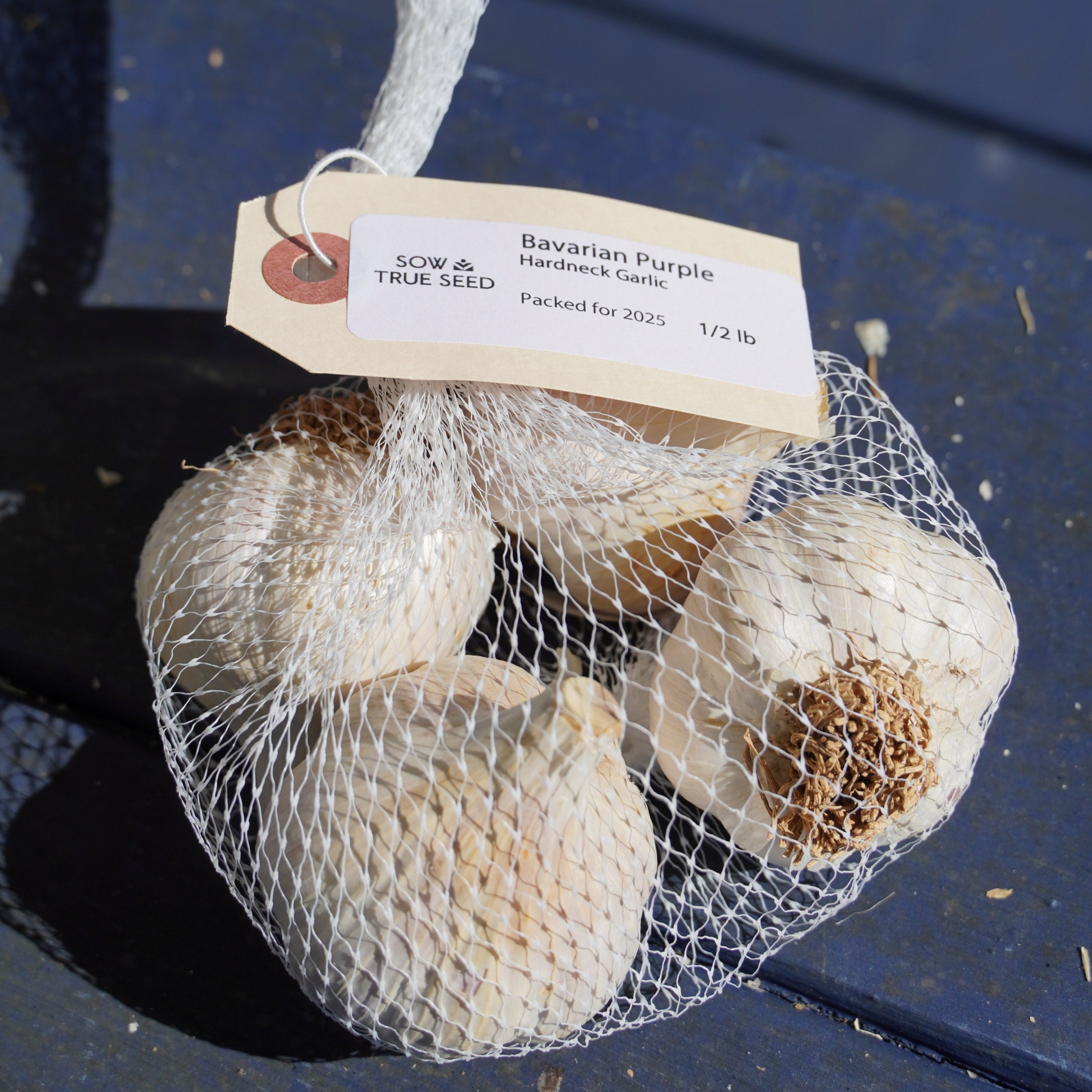 Bavarian Purple Hardneck Garlic - Sow True Seed