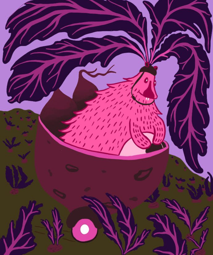 Beet Seeds - Bull's Blood - Sow True Seed
