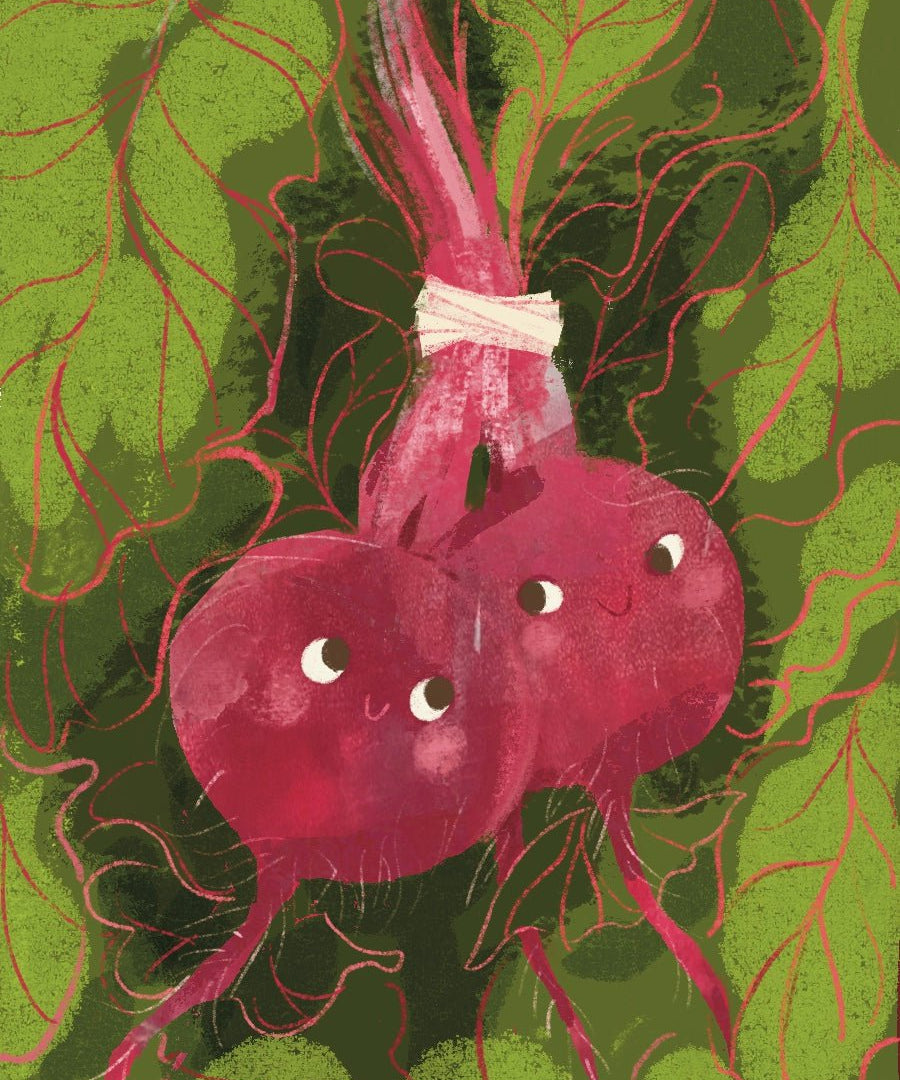 Beet Seeds - Lutz Green Leaf - Sow True Seed