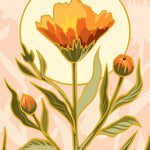 Calendula Seeds - Erfurter Orange - Sow True Seed