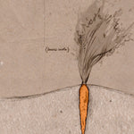 Carrot Seeds - Danvers 126 - Sow True Seed