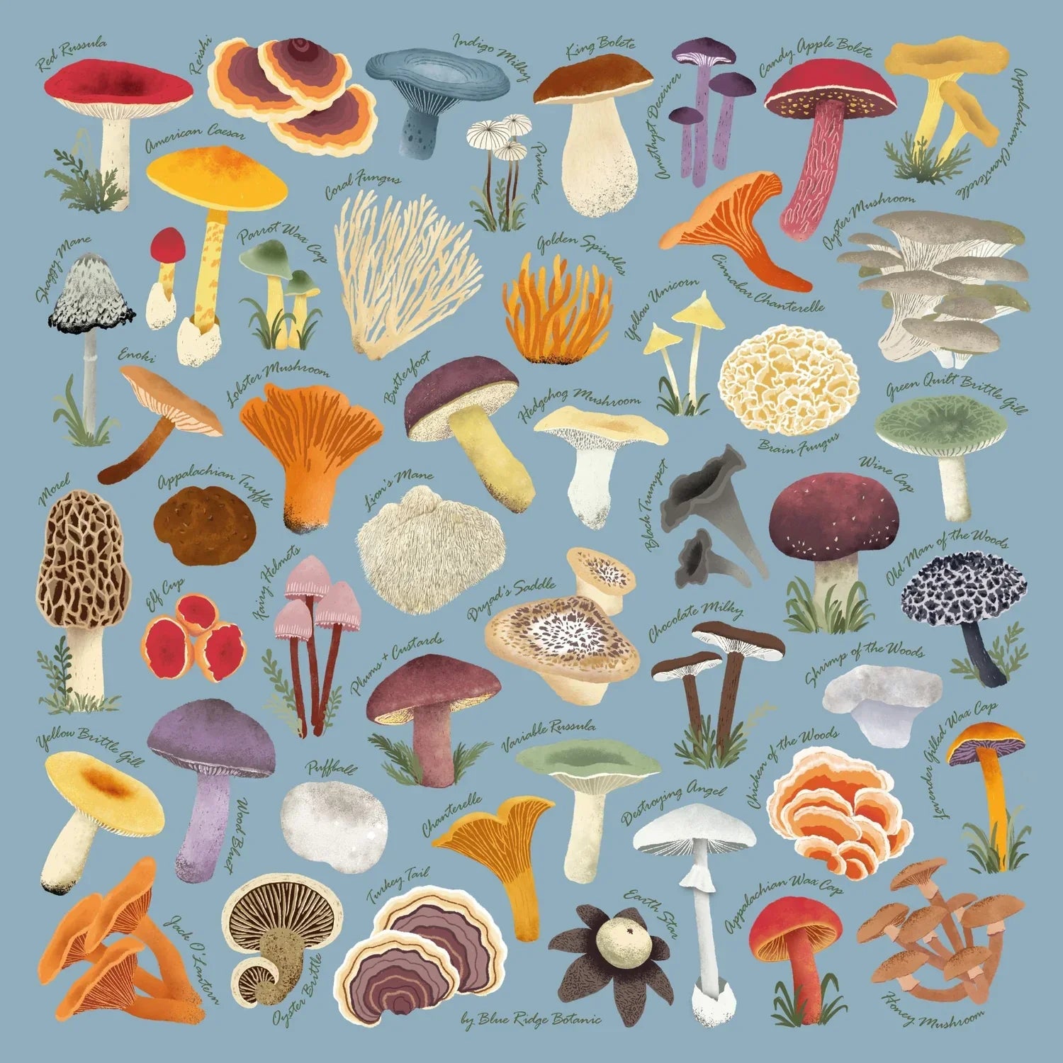 Blue Ridge Botanic Field Guide Bandanas - Sow True Seed