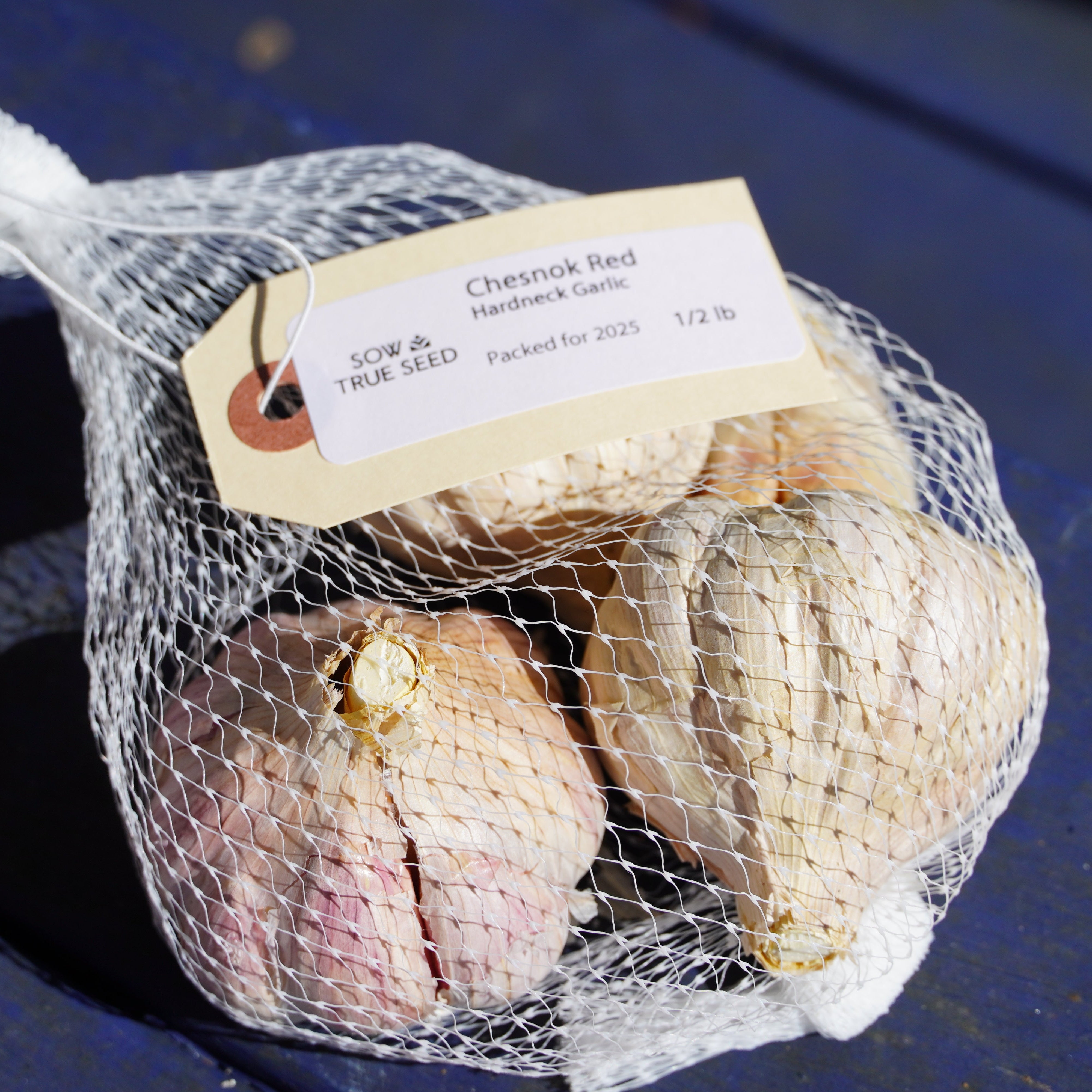 Chesnok Red Hardneck Garlic - Sow True Seed