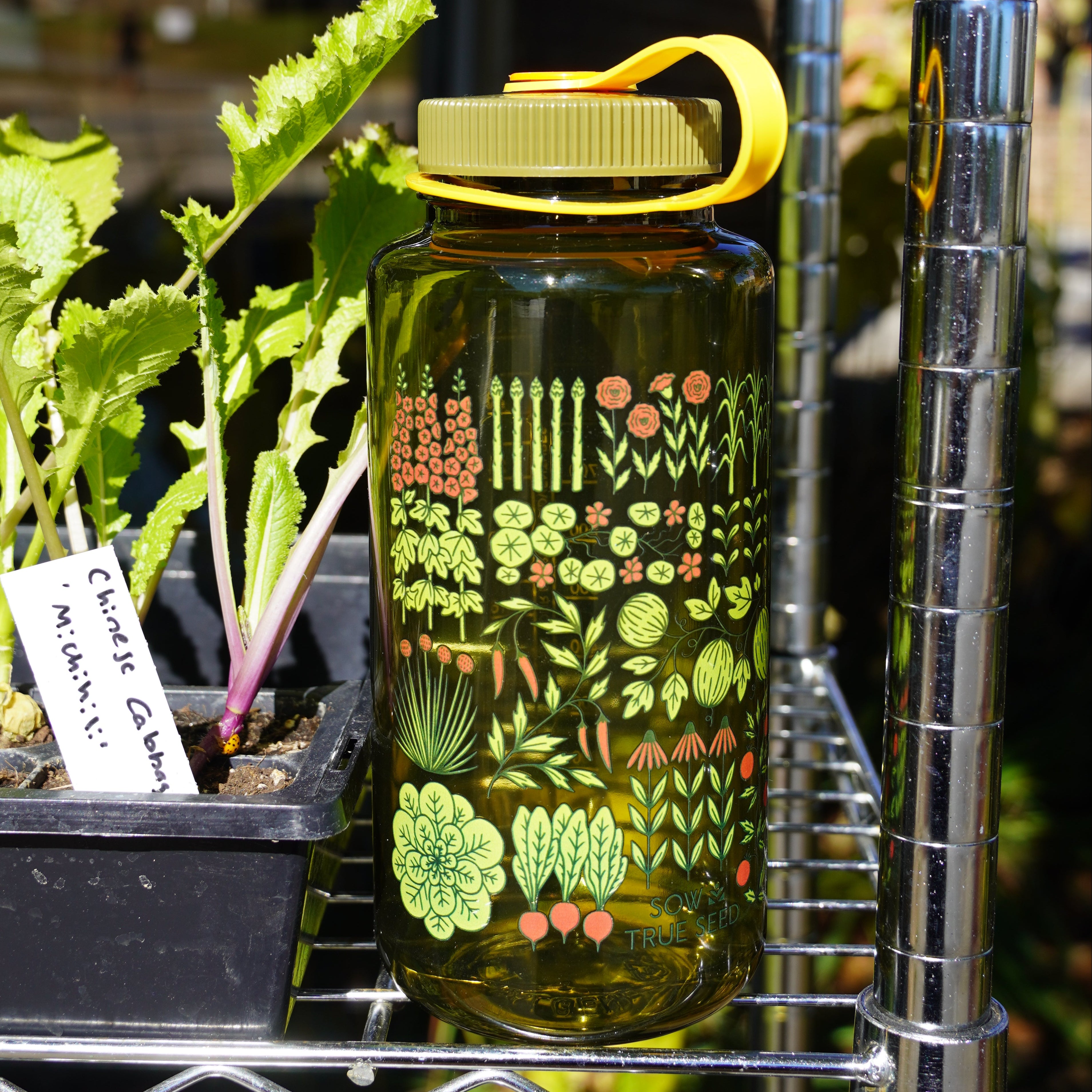 32 Oz Garden Quilt Water Bottle - Sow True Seed