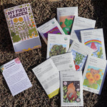 My First Garden Seed Collection Box - Sow True Seed