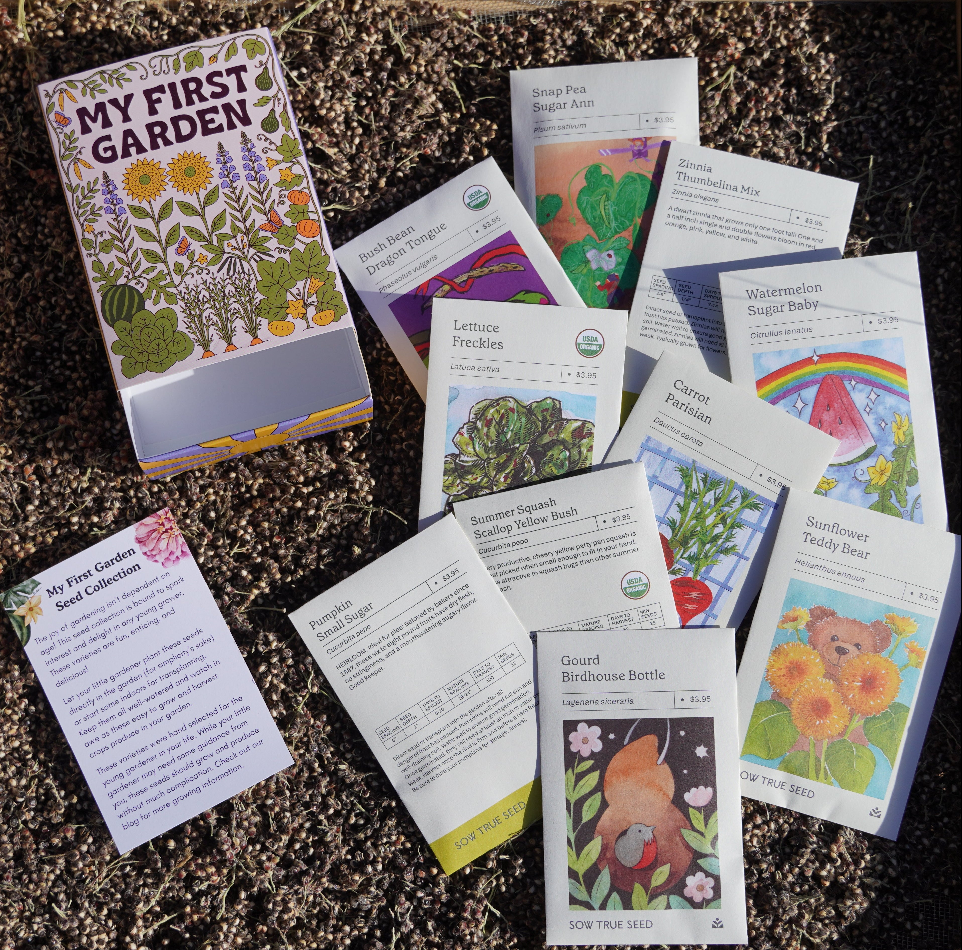 My First Garden Seed Collection Box - Sow True Seed