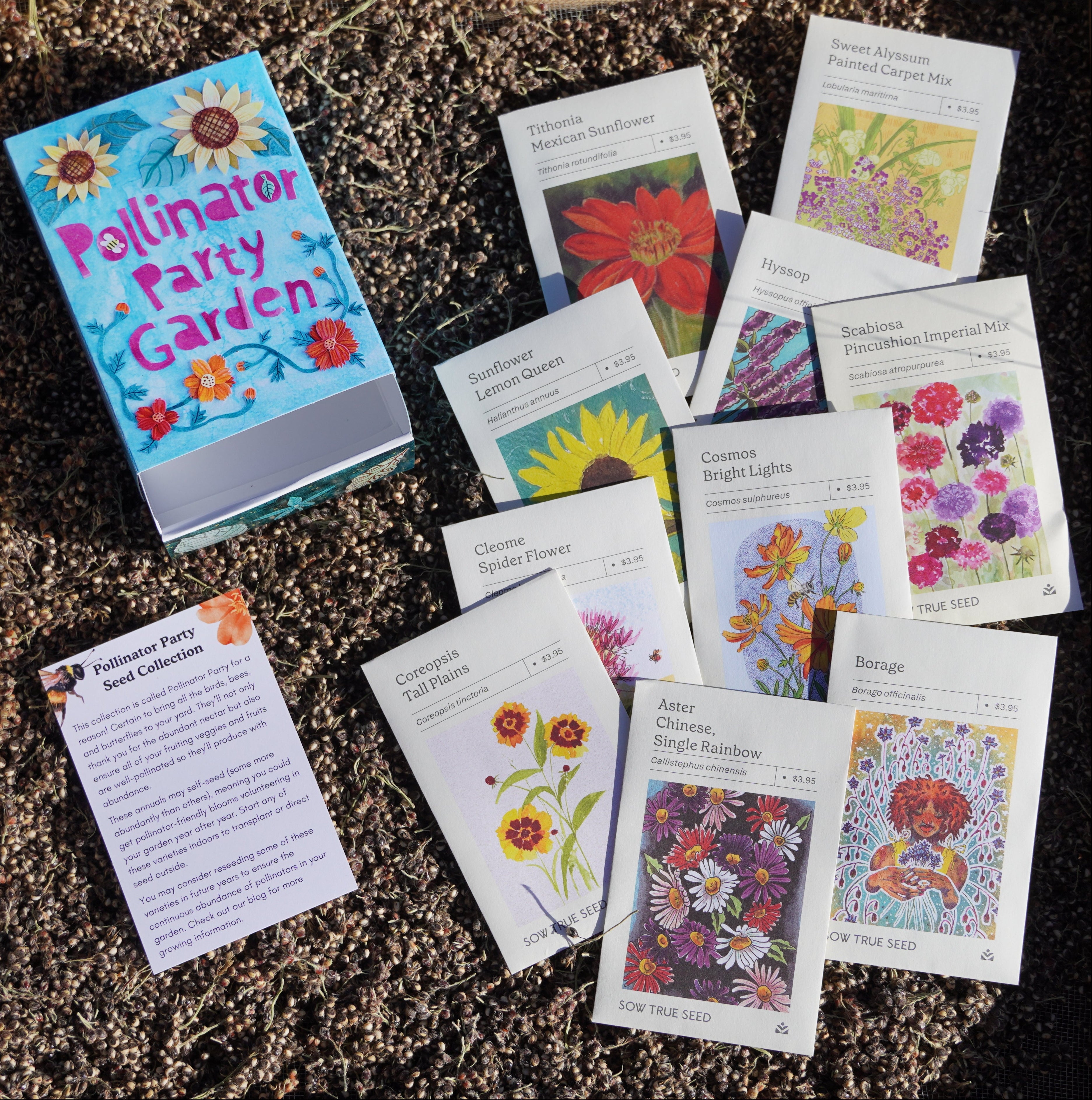 Pollinator Party Seed Collection Box - Sow True Seed
