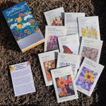 Southeast Native Wildflower Collection Box - Sow True Seed