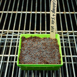 Microgreen Seed - Cabbage and Kale Mix - Sow True Seed