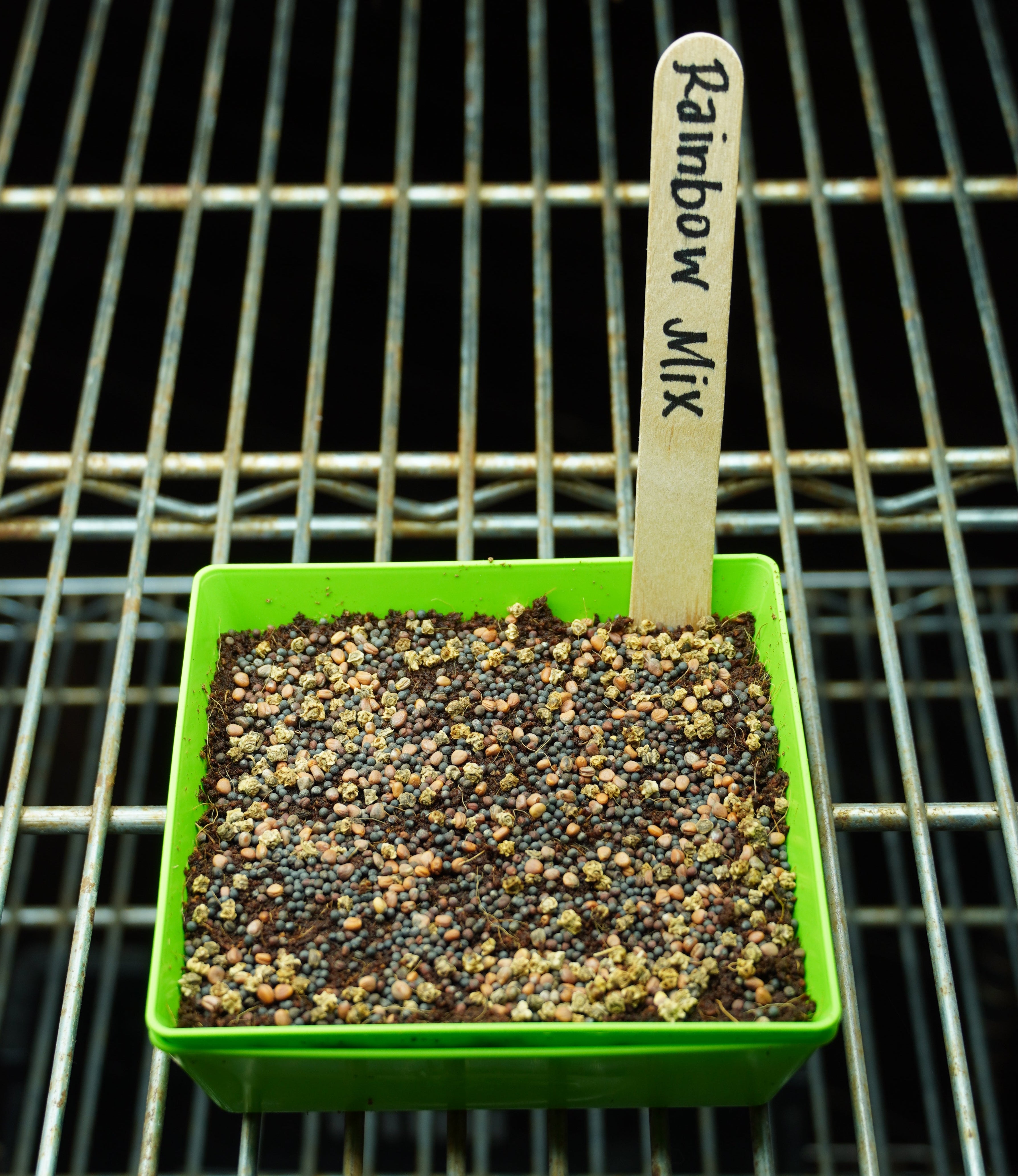 Microgreen Seed - Rainbow Mix - Sow True Seed