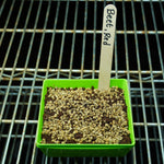 Microgreen Seed - Beet, Red - Sow True Seed