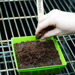 Microgreen Seed - Broccoli, ORGANIC - Sow True Seed