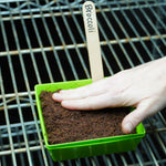 Microgreen Seed - Broccoli, ORGANIC - Sow True Seed