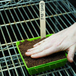 Microgreen Seed - Beet, Red - Sow True Seed