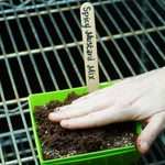 Microgreen Seed - Spicy Mustard Mix - Sow True Seed