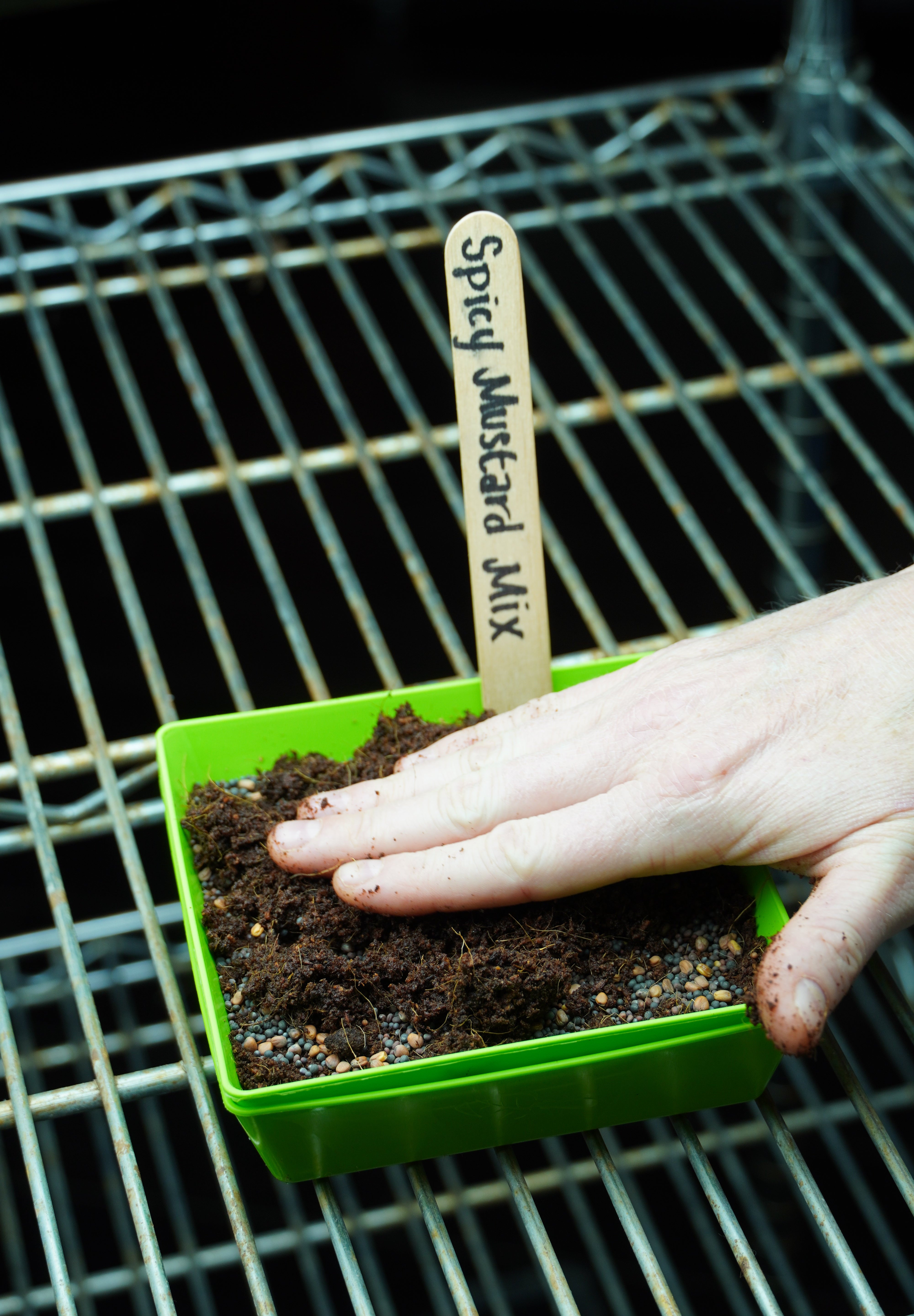 Microgreen Seed - Spicy Mustard Mix - Sow True Seed