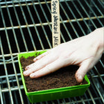 Microgreen Seed - Spicy Mustard Mix - Sow True Seed