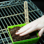 Microgreen Seed - Cabbage and Kale Mix - Sow True Seed