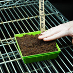 Microgreen Seed - Cabbage and Kale Mix - Sow True Seed