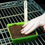 Microgreen Seed - Radish, China Rose, ORGANIC - Sow True Seed