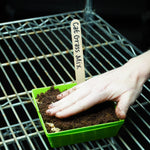 Microgreen Seed - Cat Grass Mix, ORGANIC - Sow True Seed