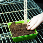Microgreen Seed - Rainbow Mix - Sow True Seed